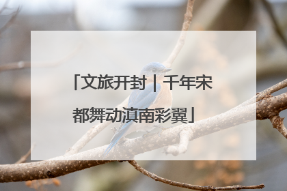 文旅开封｜千年宋都舞动滇南彩翼