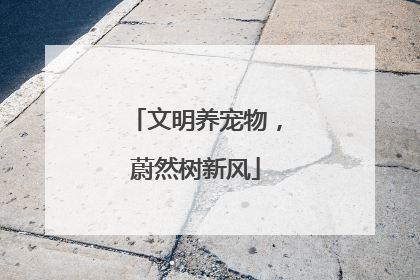 文明养宠物，蔚然树新风
