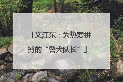 文江东：为热爱拼搏的“警犬队长”