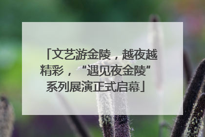 文艺游金陵，越夜越精彩，“遇见夜金陵”系列展演正式启幕