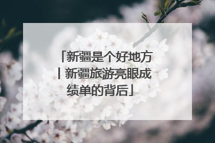 新疆是个好地方丨新疆旅游亮眼成绩单的背后