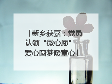 新乡获嘉：党员认领“微心愿” 爱心圆梦暖童心