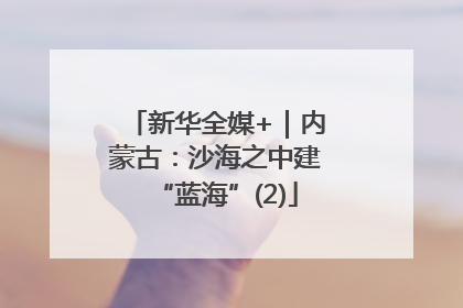 新华全媒+｜内蒙古：沙海之中建“蓝海”(2)