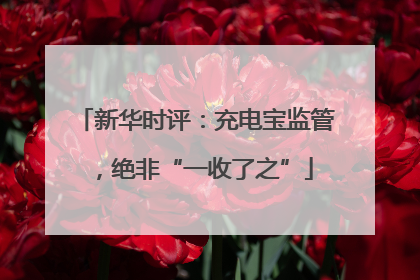 新华时评：充电宝监管，绝非“一收了之”