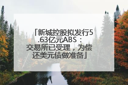 新城控股拟发行5.63亿元ABS：交易所已受理，为偿还美元债做准备