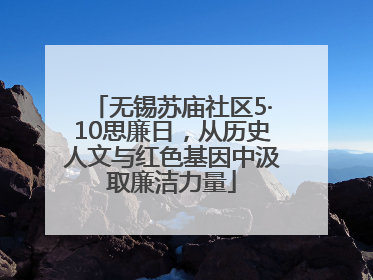 无锡苏庙社区5·10思廉日，从历史人文与红色基因中汲取廉洁力量