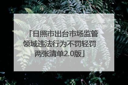 日照市出台市场监管领域违法行为不罚轻罚两张清单2.0版