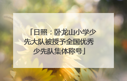 日照：卧龙山小学少先大队被授予全国优秀少先队集体称号