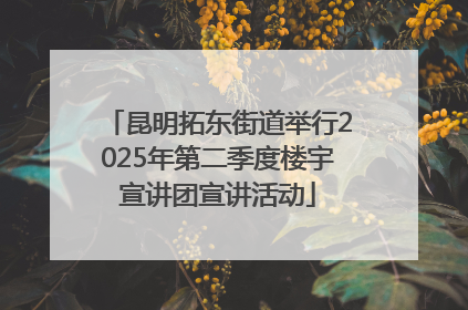昆明拓东街道举行2025年第二季度楼宇宣讲团宣讲活动