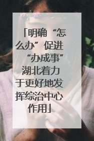 明确“怎么办”促进“办成事” 湖北着力于更好地发挥综治中心作用