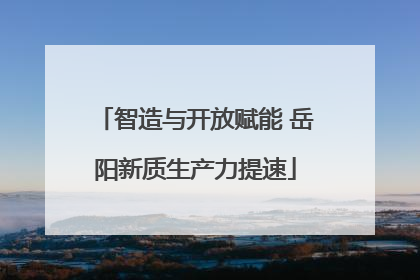 智造与开放赋能 岳阳新质生产力提速