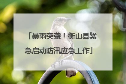 暴雨突袭！衡山县紧急启动防汛应急工作