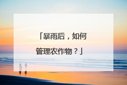 暴雨后，如何管理农作物？