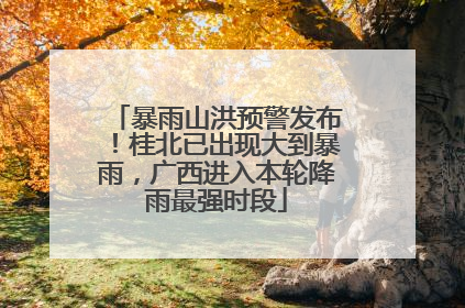 暴雨山洪预警发布！桂北已出现大到暴雨，广西进入本轮降雨最强时段