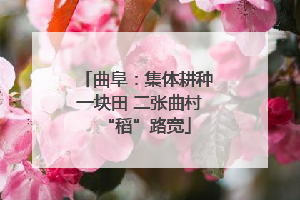 曲阜：集体耕种一块田 二张曲村“稻”路宽