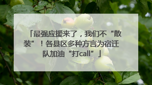 最强应援来了，我们不“散装”！各县区多种方言为宿迁队加油“打call”