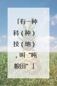 有一种科（种）技（地），叫“吨粮田”