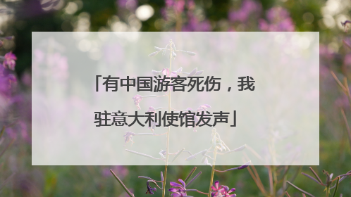 有中国游客死伤，我驻意大利使馆发声