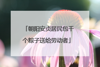 朝阳安贞居民包千个粽子送给劳动者