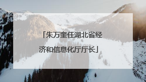 朱万奎任湖北省经济和信息化厅厅长