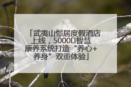 武夷山憬居度假酒店上线，5000㎡智慧康养系统打造“养心+养身”双重体验