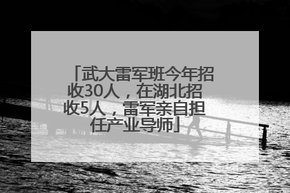 武大雷军班今年招收30人，在湖北招收5人，雷军亲自担任产业导师
