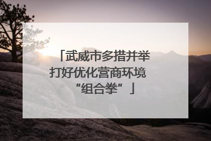 武威市多措并举打好优化营商环境“组合拳”