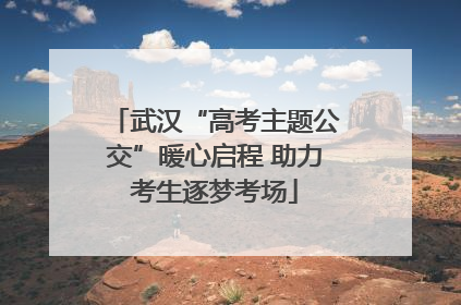 武汉“高考主题公交”暖心启程 助力考生逐梦考场