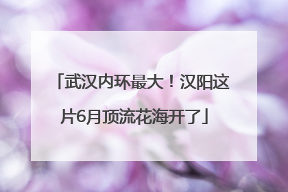 武汉内环最大！汉阳这片6月顶流花海开了