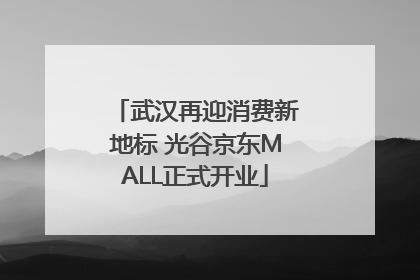 武汉再迎消费新地标 光谷京东MALL正式开业
