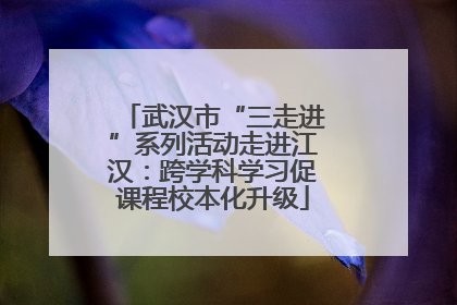 武汉市“三走进”系列活动走进江汉：跨学科学习促课程校本化升级