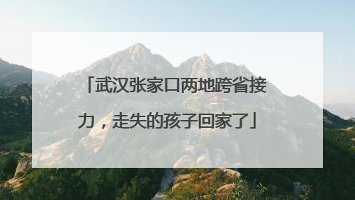 武汉张家口两地跨省接力，走失的孩子回家了