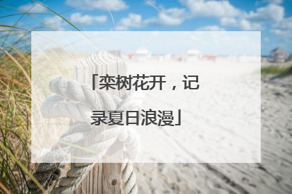 栾树花开，记录夏日浪漫