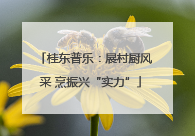 桂东普乐：展村厨风采 烹振兴“实力”