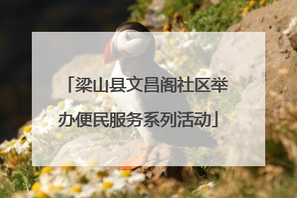 梁山县文昌阁社区举办便民服务系列活动