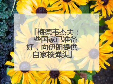 梅德韦杰夫：一些国家已准备好，向伊朗提供自家核弹头