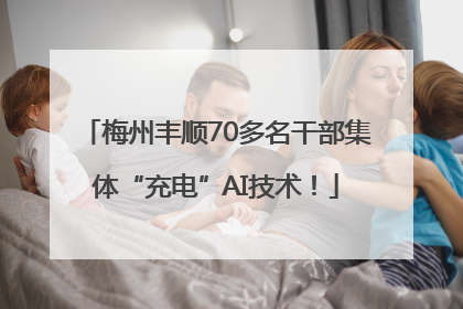 梅州丰顺70多名干部集体“充电”AI技术！