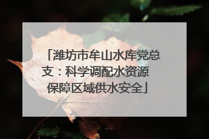 潍坊市牟山水库党总支：科学调配水资源 保障区域供水安全