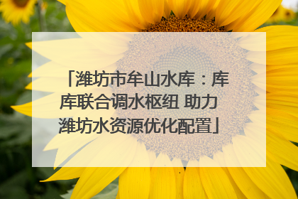 潍坊市牟山水库：库库联合调水枢纽 助力潍坊水资源优化配置