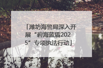 潍坊海警局深入开展“碧海蓝盾2025”专项执法行动