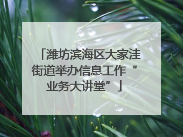 潍坊滨海区大家洼街道举办信息工作“业务大讲堂”