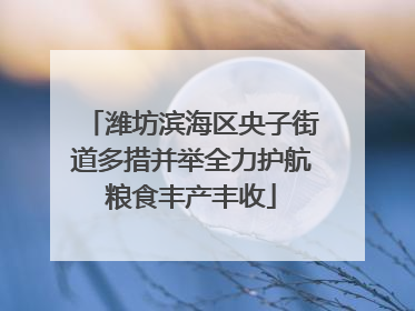 潍坊滨海区央子街道多措并举全力护航粮食丰产丰收