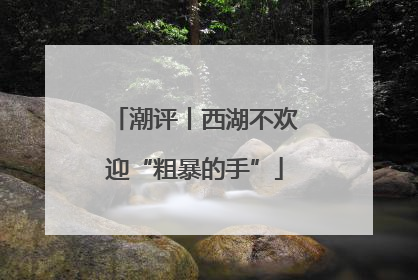 潮评丨西湖不欢迎“粗暴的手”