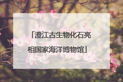 澄江古生物化石亮相国家海洋博物馆