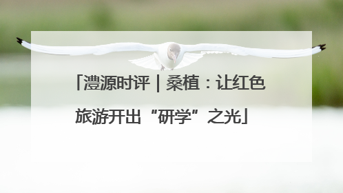 澧源时评｜桑植：让红色旅游开出“研学”之光