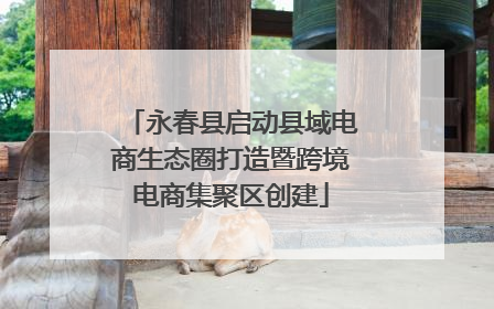 永春县启动县域电商生态圈打造暨跨境电商集聚区创建