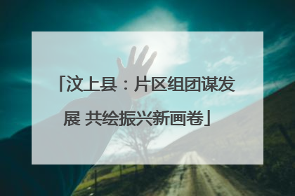 汶上县：片区组团谋发展 共绘振兴新画卷