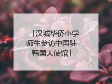 汉城华侨小学师生参访中国驻韩国大使馆