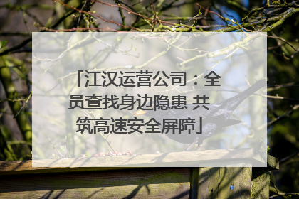 江汉运营公司：全员查找身边隐患 共筑高速安全屏障