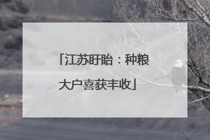 江苏盱眙：种粮大户喜获丰收